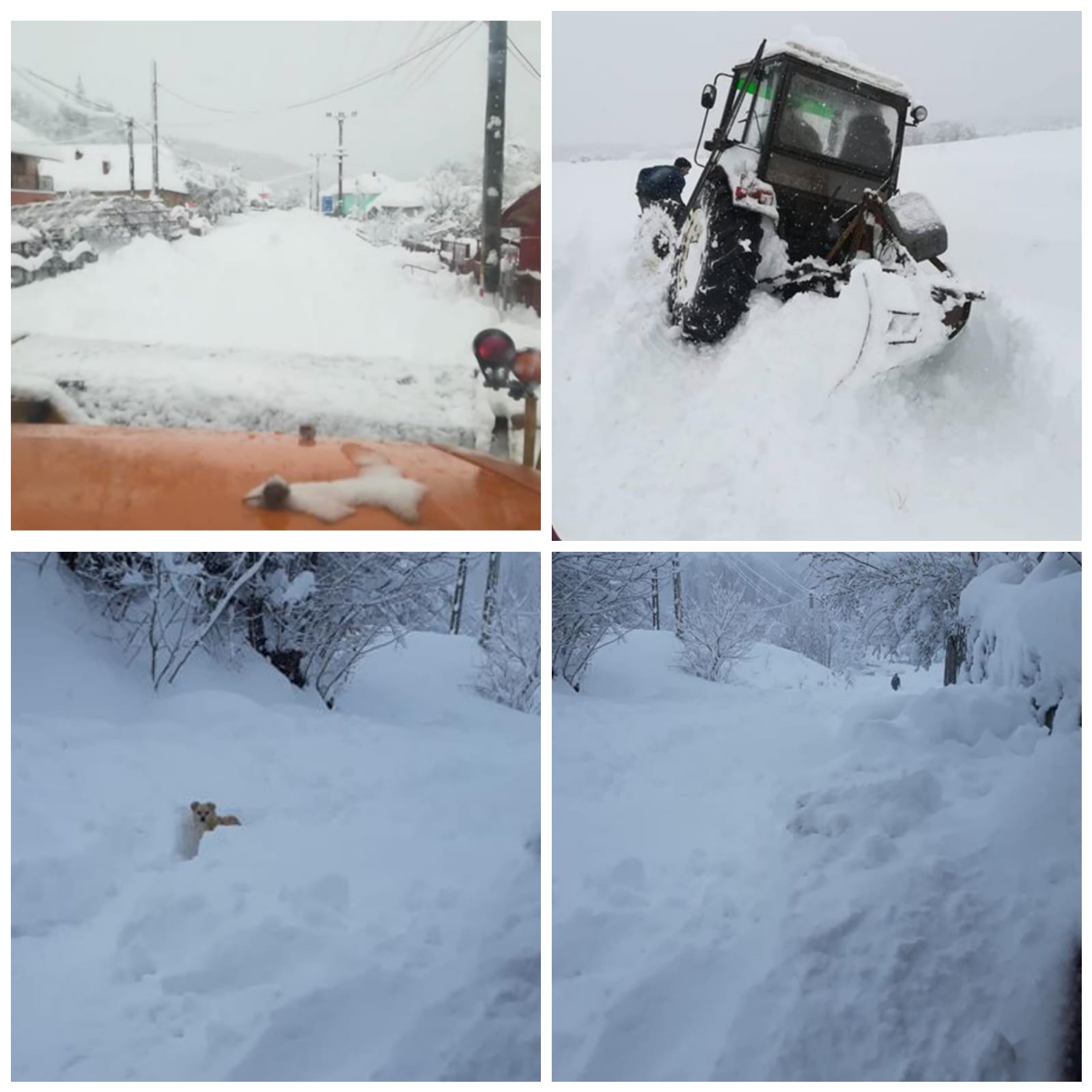 primarul comuna balta locuitori inzapeziti si fara curent constantin stoican